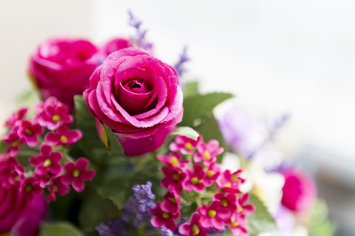 Uitvaartzorg Jaeken DELA